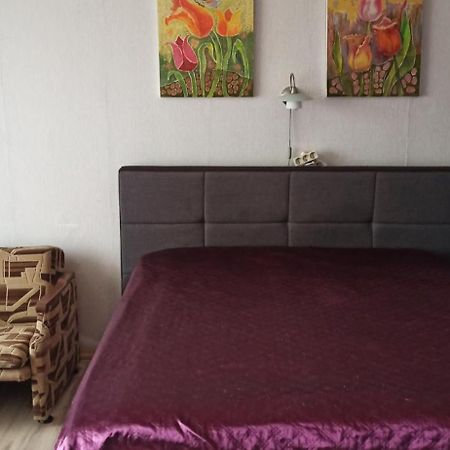 Mama Appartement Kaunas Buitenkant foto